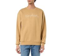 Desigual Men's Man Knit Sweat Long Sleeve Sweatshirt, Brown, S