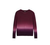Desigual Women's Sweatshirt