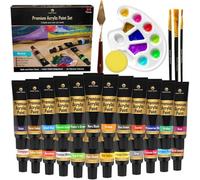 Desire Deluxe Acrylic Paint Set School Art Supplies For Artist 30Pc Craft Kit For Rock Wood Ceramic Canvas Paper And Fabric All Include