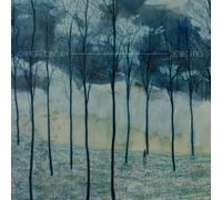 Desire Lines by Camera Obscura (2013) Audio CD