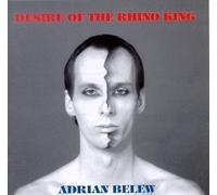 Desire of the Rhino King by Belew, Adrian (1991) Audio CD by Unknown (0100-01-01j
