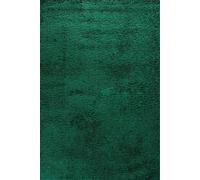Desire Rugs Modern Elegant Soft Shaggy Rug for Living Rooms - Stylish Area Rugs in Emerald | Size: 120 cm x 170 cm Desire Rugs Emerald 120 cm x 170 cm