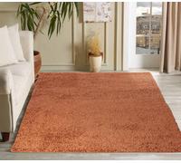 Desire Rugs Modern Elegant Soft Shaggy Rug for Living Rooms - Stylish Area Rugs in Terracotta | Size: 120 cm x 170 cm Desire Rugs Terracotta 120 cm x 170 cm