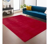 Desire Rugs Snuggly Washable Low Pile Living Room Area Rug Anti-Slip Felt Backing in Red | Size: 60 cm x 200 cm Desire Rugs Red 60 cm x 200 cm