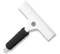 desired tools Squeegee for Shower, Window and Car Glass - 2 Extra Silicone Replacement Blades - Foam Handle - White