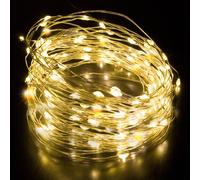 Desiretech LED Battery-Powered Fairy Lights Copper Wire String Lights 1Pack in Warm White | Size: Small Desiretech Warm White Small