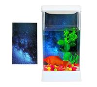 Desk Bowl: Solid Glass Tank, Polished Resin Housing | Mini Aquatic Habitat Including LED Lamp, Filtration Motor For Housing , Snails, Guppy, Countertop, Or