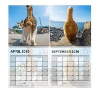Desk Calendar 2026 - Calendar 2026 | Monthly Desk Planner, Funny Schedule Management Office Wall Planner, Calendar, Harry Calendar, Yearly, Around Harry F