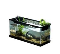 Desk Fish Tank - Transparent Acrylic Container, Mini Aquatic Habitat with Oxygenation Filter | Starter Kit for Turtle Shrimp Reptile | Compact Hydroponic Planting System Bowl, Indoor Studio Tabletop