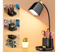 Desk Lamp with 2 USB Charging Ports, Small Study Lamp with Pen Holders, Gooseneck Office Desk Lamps for Bedroom, University Essentials for Student, LED Table Daylight Nail Desk Light for Home,Reading