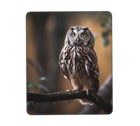 Desk Pad Owl Standing on The Tree Mouse Mat for PC 10x12in