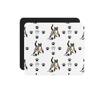 Desk Pad Snowshoe Cat Paws Mouse Pad Home 25x30CM