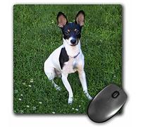 Desk Pad Toy Fox Terrier Stitched Edges Mouse Pad Anti-Slip Rubber Base Gaming Mousepad For Work Laptop Desk 25X30Cm