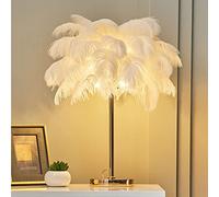 Deskps, Real Feather Light Ostrich Feathers Tablep Bedsidep Deconightstandp with Real Feather Light Shade Bedside Light for Bedroom Liviroom (White)
