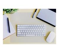 Desktex, Anti-Slip Desk Mat, Rectangular, Clear, 19" x 24"(FPDE1924RA)