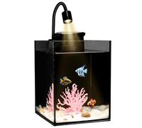 Desktop Aquarium Mini Tank Kit, 1.2 Gallon Rimless Cube with Filter, LED Spotlight, Black Background, Glass Construction, Pipette for Betta Fish, Guppies, Tetras