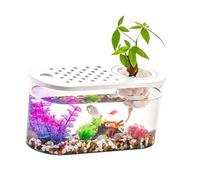 Desktop Aquarium Planter, Style1 | Betta Fish, Clear Tabletop Design with Integrated Top Basket for Home Desk Decor