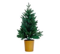 Desktop Christmas Tree, Compact Design with Realistic Look, Festive Table Decor for Home Office & Holiday Season, Durable Tabletop Ornament for Indoor Holiday Parties and Seasonal