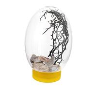 Desktop Fish Tank with LED Glowing Design Transparent Aquarium Battery Powered for Small Goldfish No Water Change Needed for Home Office