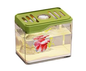 Desktop Fish Tistonta - Desktop Cazzón, PP + PC Ventilation Site Design Top | The Decoration of the Bowl Room has Colourful LED Lights for
