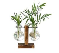 Desktop Glass Planter Bulb Vase with Vintage Wooden Stand Hydroponic Plant Vases Vintage Water Planting Glass Vase for Home Office Garden Wedding Décor (Style B)