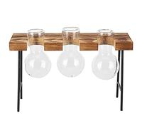 Desktop Glass Planter Wooden Stand Bulb Glass Vase Hydroponics Plant for Home Office (Three bottles + bench)