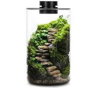 Desktop Glass Terrarium with Grow Light - Succulent Moss Miniature Gardening Landscape, Fish Tank Indoor Plant Growth Office Home Decoration Plant Lovers Gifts
