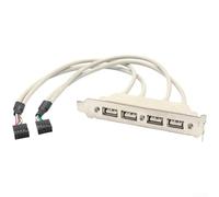 Desktop PC USB 2.0 Rear I/O Expansion Bracket Featuring 4 External Ports and Dual 2 Pin Header Interface Compatibility (4 Port USB)