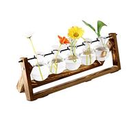 Desktop Propagation Stations, 5 Bulb Vase Glass Air Planter, Plant Terrarium with Wooden Stand, Retro Plant Terrarium Bulb Vase with Metal Rotating Rod, Indoor Live Hydroponics Planter for Decor