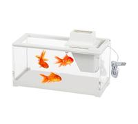 Desktop: Small with Built-in Silent Pump, Illuminated Leak Resistant | A Transparent Design That Matches a Variety of Places Like Shelves, Tables