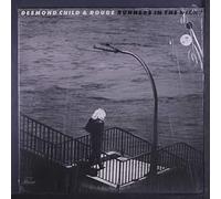 Desmond Child And Rouge - runners in the night LP