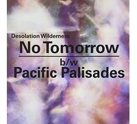 Desolation Wilderness - No Tomorrow Pacific Palisades [VINYL]