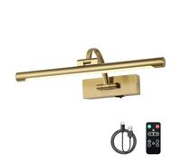DESOOP Battery Operated Picture Light with Remote and Timer, Wireless Art Lights for Paintings Brass Rechargeable Gallery Light Dimmable Artwork Lighting for Canvas, Portrait 16'' Inch Warm White