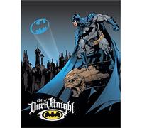 Desperate Enterprises Batman The Dark Knight Tin Sign - Nostalgic Vintage Metal Wall Decor - Made in USA