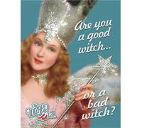 Desperate Enterprises The Wizard Of Oz - Are You A Good Witch Or A Bad Witch Tin Sign - Nostalgic Vintage Metal Wall Decor - Made in USA
