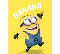 Despicable Me Banana 40 x 50cm Canvas Prints, Polyester, Multi-Colour, 40x50x3.2 cm