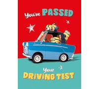 DESPICABLE ME PASSED DRIVING TEST CARD CONGRATULATIONS