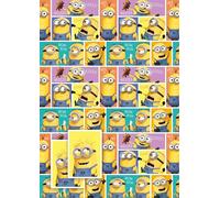 Despicable Me Wrapping Paper, Despicable Me Gift Wrap 2 Sheets 2 Tags