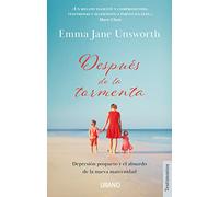 Despues de la Tormenta: Depresion Posparto Y El Absurdo De La Nueva Maternidad