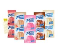 Dessert Bundle with Pearce Duff's Blancmange Strawberry, Raspberry, Butterscotch, Chocolate and Vanilla with Intrinsic Treats Shopping List Card (2 of Each Flavour - Total of 10 Sachets)