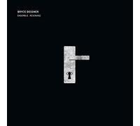 Bryce Dessner, Ensemble Resonanz - Bryce Dessner: Tenebre [VINYL]