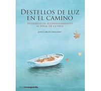 Destellos de luz en el camino : historias de acompañamiento al final de la vida