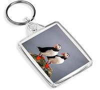Destination Vinyl Cute Couple Keyring Shearwater Agnet - Pelagic Birds Nature Sea Wildlif Gift # 14150