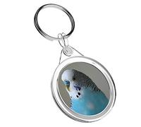 Destination Vinyl Keyrings 1 x Blue Budgie Parrot Pet Bird - Keyring IR02 Dad Kids Birthday #14623
