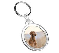 Destination Vinyl Keyrings 1 x Hungarian Pointer Vizsla Dog - Keyring IR02 Mum Dad Kid Birthday #12566