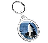Destination Vinyl Keyrings 1 x Ocean Killer Whale Orca - Keyring IR02 Mum Dad Birthday #14212