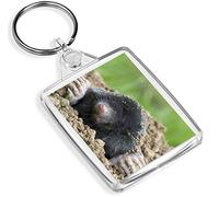 Destination Vinyl Keyrings 1 x Talpa Europaea Mole Hole Dig - Keyring - IP02 - Mum Dad Kids #3477