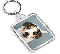 Destination Vinyl Keyrings Cute Jack Russell Terrier Keyring - IP02 - Dog Puppy Pets Lover's #16290