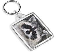 Destination Vinyl Keyrings Cute Raccoon Keyring Wild Animal Racoon American Cheeky Fun Keyring #14190