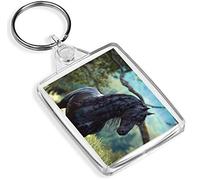 Destination Vinyl Keyrings Friesian Stallion Black Beauty Keyring - IP02 - Equine Horse Animals #16227